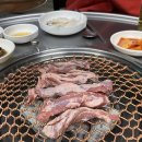 갈메기구이 | 울산 병영 맛집 | 갈메기구이 n번째 방문기