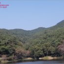 내서읍126 이미지