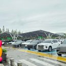 입장거봉포도(서울) 이미지