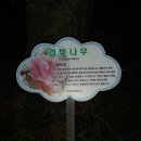 힐런 이미지