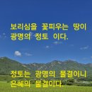 광명의 뜻과 여래의 광명 이미지