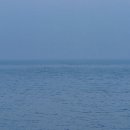 화전여관 - 용산구 원효로 181-2 | 화전여관
