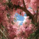 산북주공아파트 이미지