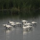 인천의 갯벌 이야기 이미지