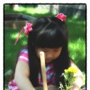 썬샤인유치원 이미지