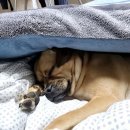 용궁경로당 이미지