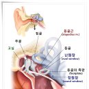 맑은성모청각센터