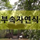 익산닭집 이미지