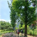 내곡동281 이미지