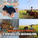 [율정]손뜨개 인형 만들기 | 제주 조랑말체험공원 승마체험 마음아뜰리에 키링 만들기