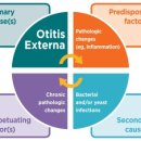라퓨클레르 동물피부클리닉 이미지