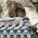 스테이사룡 이미지