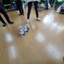 이리북초등학교 이미지