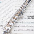 플루트 1:1 개인레슨 이미지