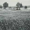 한국화발전소 이미지