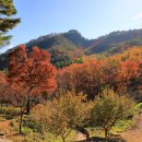 고천리마을회관 이미지