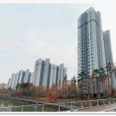 성우오스타개발 이미지