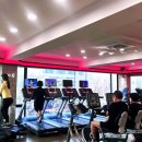 슈나이더 짐 이미지