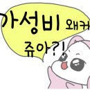 꼬꼬마식당 이미지