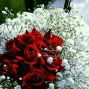 복이용원 이미지