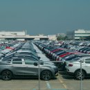 세바코리아 이미지