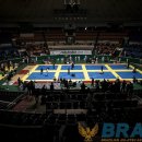 파라에스트라 이미지