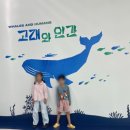 국립해양박물관 | 국립인천해양박물관후기Ⅰ고래와 인간 특별전