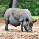 재길