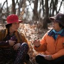 함라마트 이미지