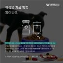 더블유동물의료센터 네이버블로그