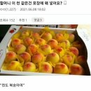 천쪼가리 이미지