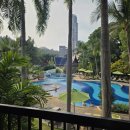 시대는 서커스의 코끼리 타고 | 태국여행_시암베이쇼어 리조트 후기｜수질·위치·워킹스트리트까지 솔직 리뷰 코끼리 생츄어리 체험 후기