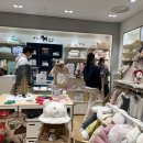 현대울산블루독 이미지