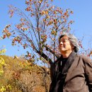 이위발 시인 (36호) - 진정성으로 빚어내는 시, 마음으로 담그는 된장 이미지