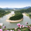 한반도면-2 이미지