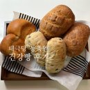 농축원 | [태극클럽 2기] 태극당의 건강빵, '농축원' 리뷰/ 식단 빵 추천/ 건강빵 추천/ 깜빠뉴/ 올리브치아바타...