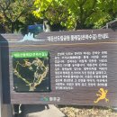 제 739회 대둔산 용문골 산행/ 둘레길 트레킹 & 하계 야유회(24. 7. 24) 이미지