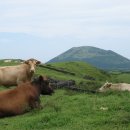 하도목장 이미지