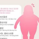 대사증후군이란? 대사증후군 원인 증세 진단기준 낫는법 이미지