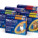 W 인천심장동물병원 이미지