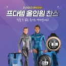 프리다이브나우