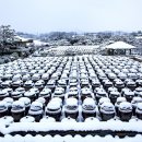 서일 농장 이미지