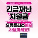 아이사랑안경콘택트 이미지