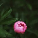 청파동주민센터 3층다목적실 | 서울 사전투표소 종로 중구 용산 성동 광진 동대문 중랑 성북 강북 도봉 전국동시지방선거 선거자 선거권