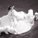 어울림한복