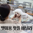 영광기술학원 이미지