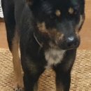 고현낚시터 이미지