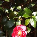 김용대농장 이미지