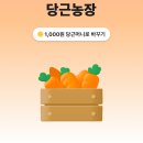 당근당근