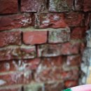 용산-246 이미지